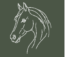Custom-Made Equine Full-Zip Hoodie — Personalised Horse Outline