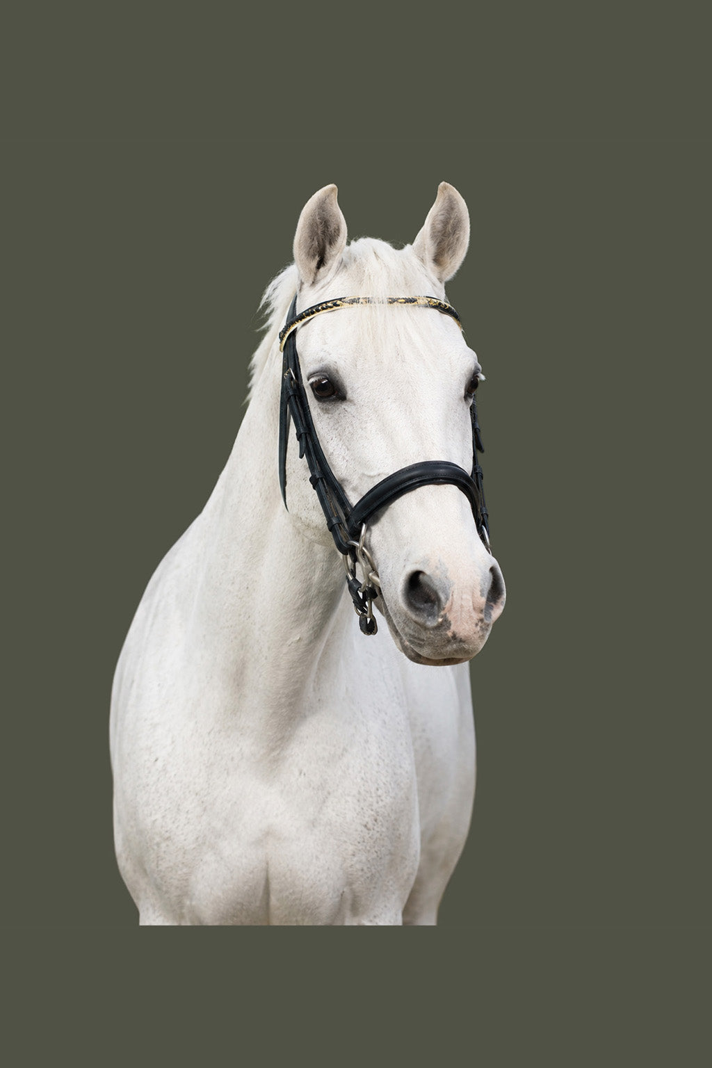 Custom-Made Equine Full-Zip Hoodie — Personalised Horse Outline